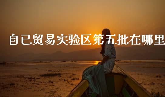 自已贸易实验区第五批在哪里_https://wap.sdyuehang.cn_债券资讯_第1张