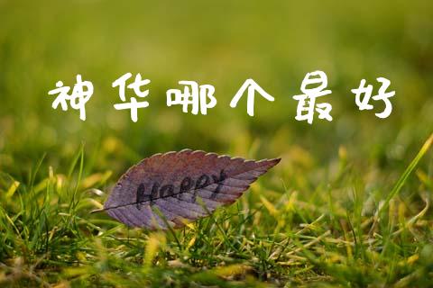 神华哪个最好_https://wap.sdyuehang.cn_新股申购_第1张