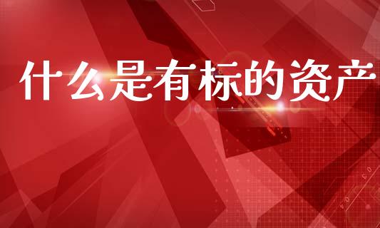 什么是有标的资产_https://wap.sdyuehang.cn_产经新闻_第1张