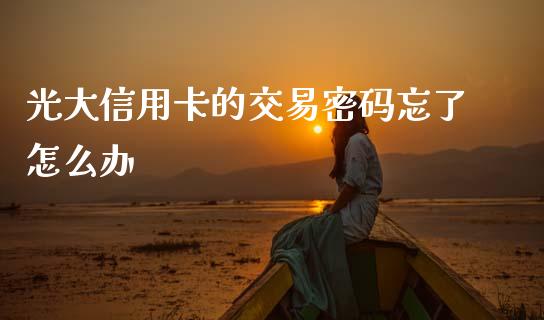 光大信用卡的交易密码忘了怎么办_https://wap.sdyuehang.cn_美股行情_第1张