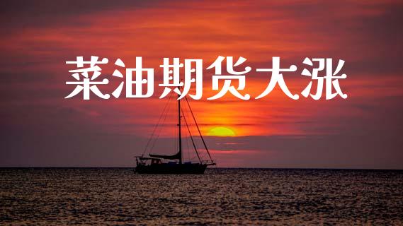 菜油期货大涨_https://wap.sdyuehang.cn_美股行情_第1张