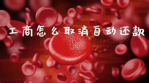 工商怎么取消自动还款_https://wap.sdyuehang.cn_债券资讯_第1张