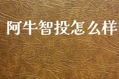 阿牛智投怎么样_https://wap.sdyuehang.cn_债券资讯_第1张