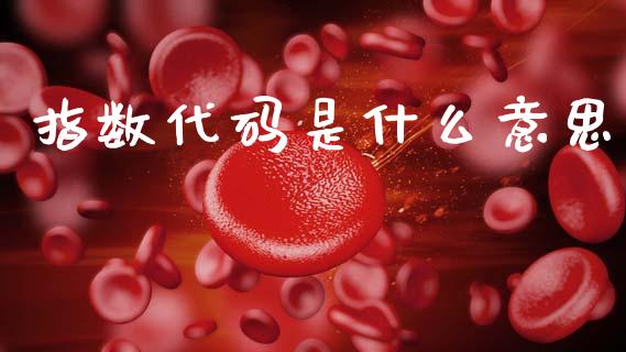 指数代码是什么意思_https://wap.sdyuehang.cn_新股申购_第1张