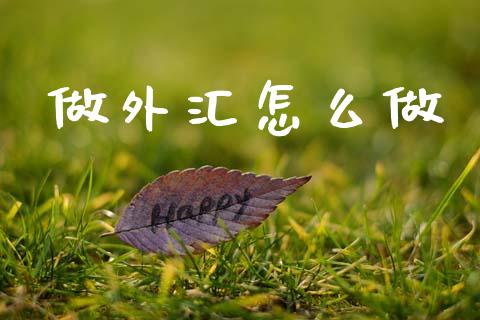做外汇怎么做_https://wap.sdyuehang.cn_债券资讯_第1张