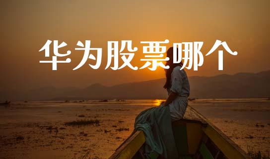 华为股票哪个_https://wap.sdyuehang.cn_新股申购_第1张