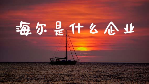 海尔是什么企业_https://wap.sdyuehang.cn_产经新闻_第1张