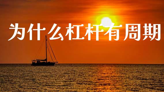 为什么杠杆有周期_https://wap.sdyuehang.cn_新股申购_第1张