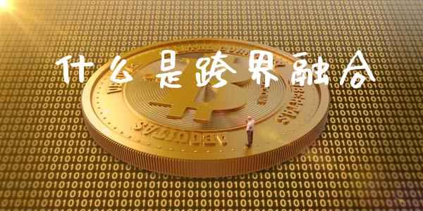 什么是跨界融合_https://wap.sdyuehang.cn_美股行情_第1张