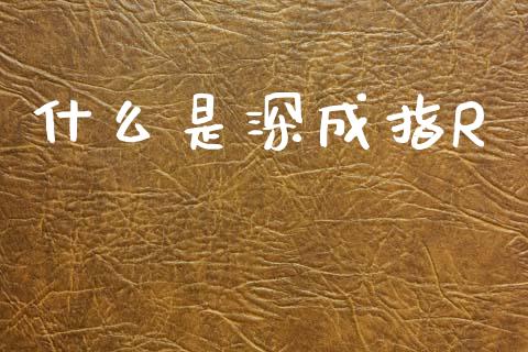 什么是深成指R_https://wap.sdyuehang.cn_债券资讯_第1张