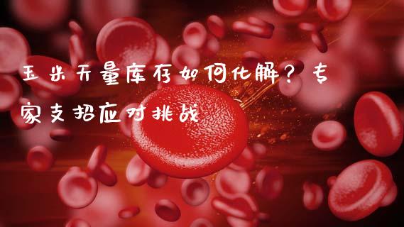 玉米天量库存如何化解？专家支招应对挑战_https://wap.sdyuehang.cn_美股行情_第1张