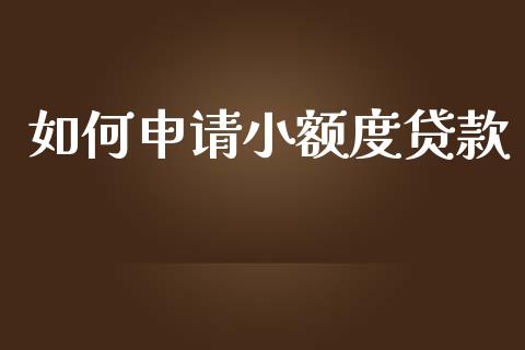 如何申请小额度贷款_https://wap.sdyuehang.cn_产经新闻_第1张