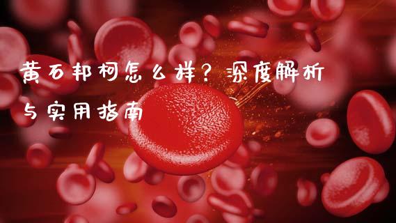 黄石邦柯怎么样？深度解析与实用指南_https://wap.sdyuehang.cn_产经新闻_第1张