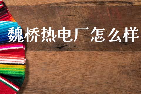 魏桥热电厂怎么样_https://wap.sdyuehang.cn_产经新闻_第1张