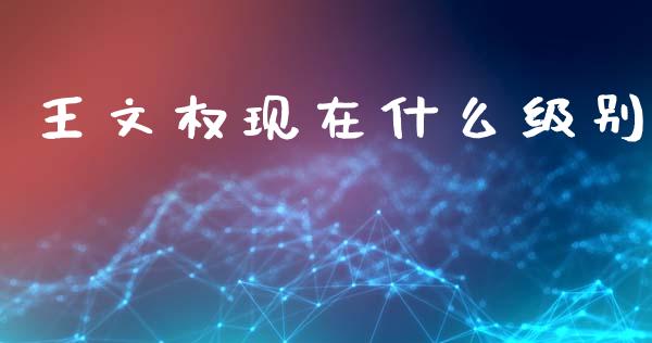 王文权现在什么级别_https://wap.sdyuehang.cn_美股行情_第1张