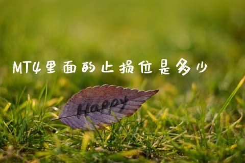 MT4里面的止损位是多少_https://wap.sdyuehang.cn_新股申购_第1张