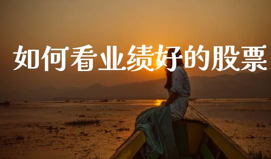 如何看业绩好的股票_https://wap.sdyuehang.cn_美股行情_第1张