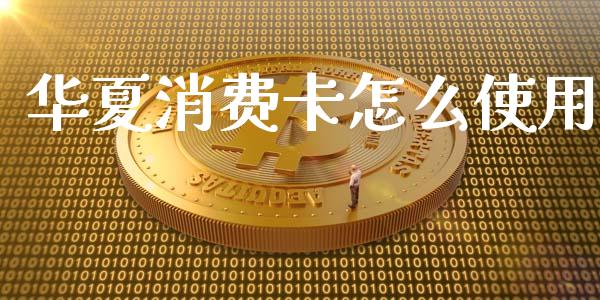 华夏消费卡怎么使用_https://wap.sdyuehang.cn_美股行情_第1张