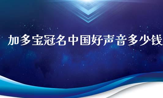 加多宝冠名中国好声音多少钱_https://wap.sdyuehang.cn_债券资讯_第1张
