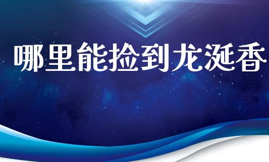 哪里能捡到龙涎香_https://wap.sdyuehang.cn_产经新闻_第1张