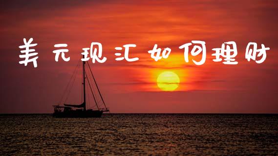 美元现汇如何理财_https://wap.sdyuehang.cn_债券资讯_第1张