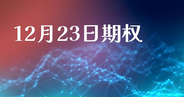 12月23日期权_https://wap.sdyuehang.cn_美股行情_第1张