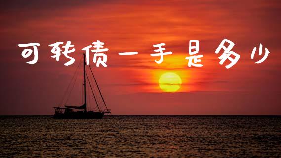 可转债一手是多少_https://wap.sdyuehang.cn_新股申购_第1张
