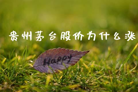 贵州茅台股价为什么涨_https://wap.sdyuehang.cn_美股行情_第1张
