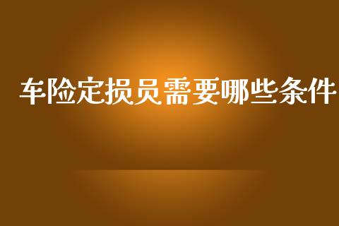 车险定损员需要哪些条件_https://wap.sdyuehang.cn_新股申购_第1张