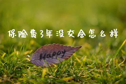 保险费3年没交会怎么样_https://wap.sdyuehang.cn_债券资讯_第1张
