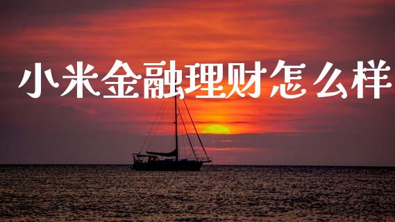 小米金融理财怎么样_https://wap.sdyuehang.cn_新股申购_第1张