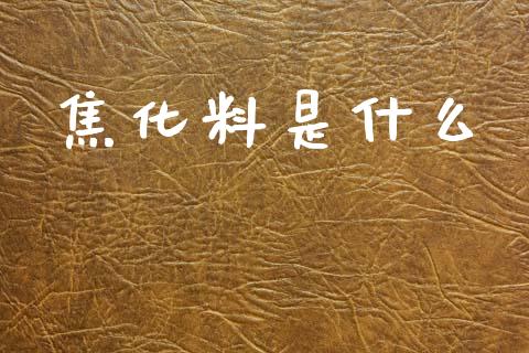 焦化料是什么_https://wap.sdyuehang.cn_债券资讯_第1张