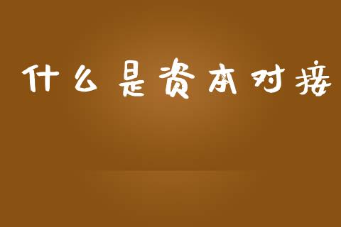 什么是资本对接_https://wap.sdyuehang.cn_债券资讯_第1张