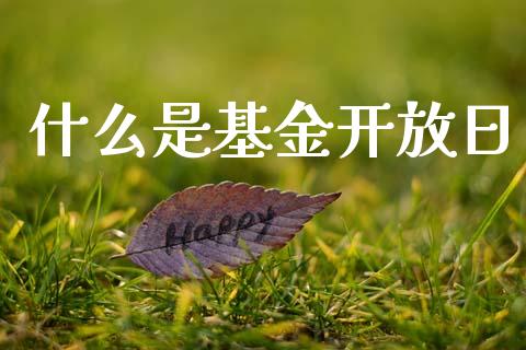 什么是基金开放日_https://wap.sdyuehang.cn_债券资讯_第1张