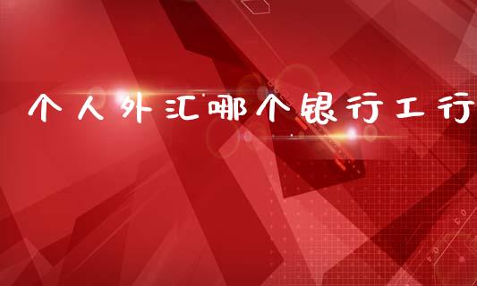 个人外汇哪个银行工行_https://wap.sdyuehang.cn_新股申购_第1张