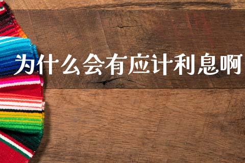 为什么会有应计利息啊_https://wap.sdyuehang.cn_债券资讯_第1张