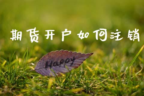 期货开户如何注销_https://wap.sdyuehang.cn_产经新闻_第1张