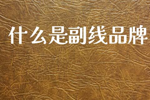 什么是副线品牌_https://wap.sdyuehang.cn_债券资讯_第1张