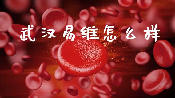 武汉易维怎么样_https://wap.sdyuehang.cn_新股申购_第1张