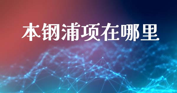 本钢浦项在哪里_https://wap.sdyuehang.cn_新股申购_第1张