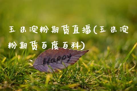 玉米淀粉期货直播(玉米淀粉期货百度百科)_https://wap.sdyuehang.cn_债券资讯_第1张