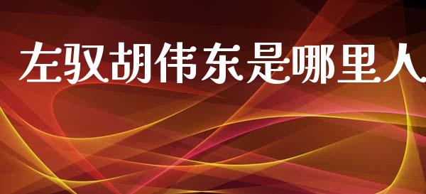左驭胡伟东是哪里人_https://wap.sdyuehang.cn_美股行情_第1张