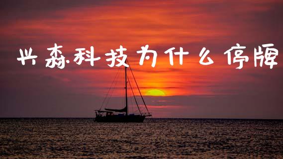 兴森科技为什么停牌_https://wap.sdyuehang.cn_美股行情_第1张