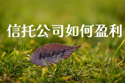 信托公司如何盈利_https://wap.sdyuehang.cn_产经新闻_第1张