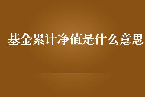 基金累计净值是什么意思_https://wap.sdyuehang.cn_新股申购_第1张