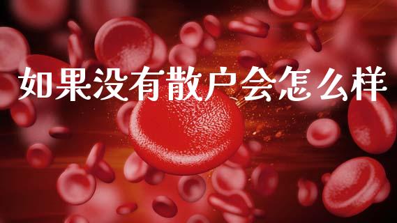 如果没有散户会怎么样_https://wap.sdyuehang.cn_美股行情_第1张