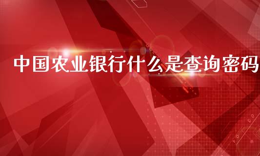 中国农业银行什么是查询密码_https://wap.sdyuehang.cn_债券资讯_第1张