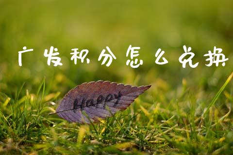 广发积分怎么兑换_https://wap.sdyuehang.cn_美股行情_第1张