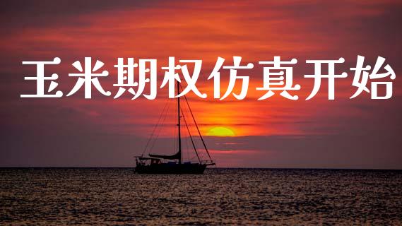 玉米期权仿真开始_https://wap.sdyuehang.cn_产经新闻_第1张