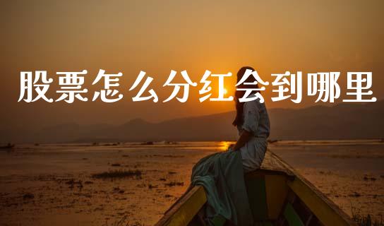 股票怎么分红会到哪里_https://wap.sdyuehang.cn_新股申购_第1张